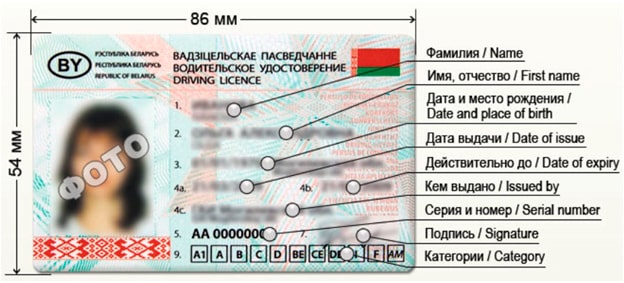 Водительское удостоверение нового образца фото